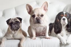 英雄联盟总决赛-绝境重启！老鹰逆境翻盘改写历史，利拉德诠释何为关键先生