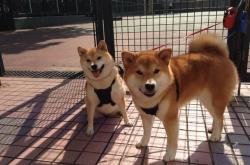 -封印之战，当孤勇者特奥用生涯之夜对抗整个曼城王朝