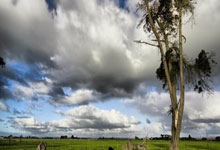 英超锋刃出鞘!葡萄牙绝境逢生,C罗任意球绝杀书写关键一胜!