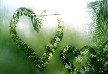 当绿茵闪电撞上绿衫铁壁!姆巴佩奥运单挑凯尔特人,数据揭秘世纪交锋