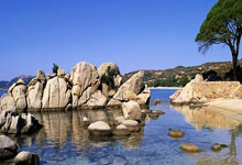 最新世界杯:德国止步掘金!技术统计揭开钢铁战车熄火真相