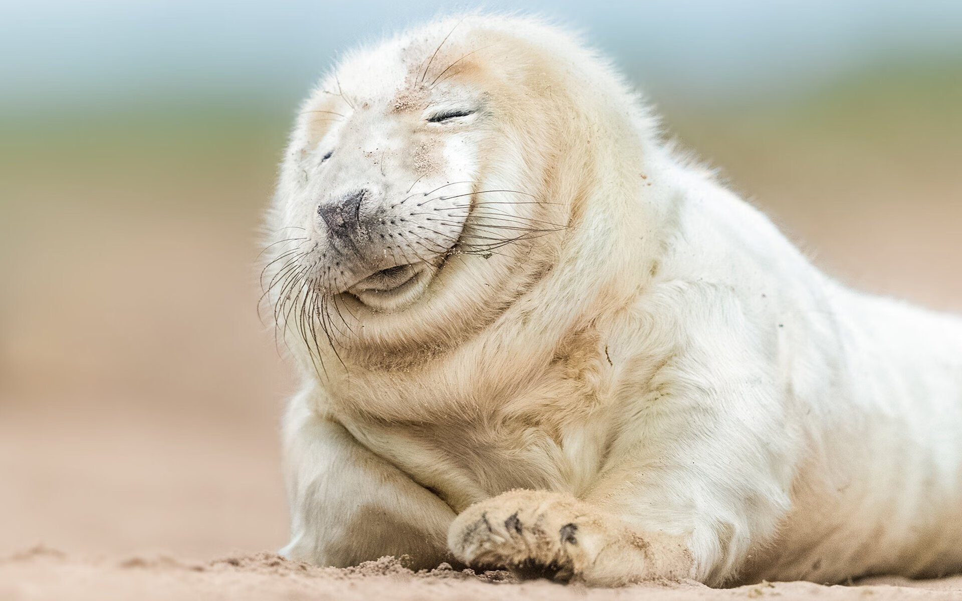 钢铁森林中的桑巴之舞，当英格兰防线围猎红黑军团，内马尔踏破牢笼正名时