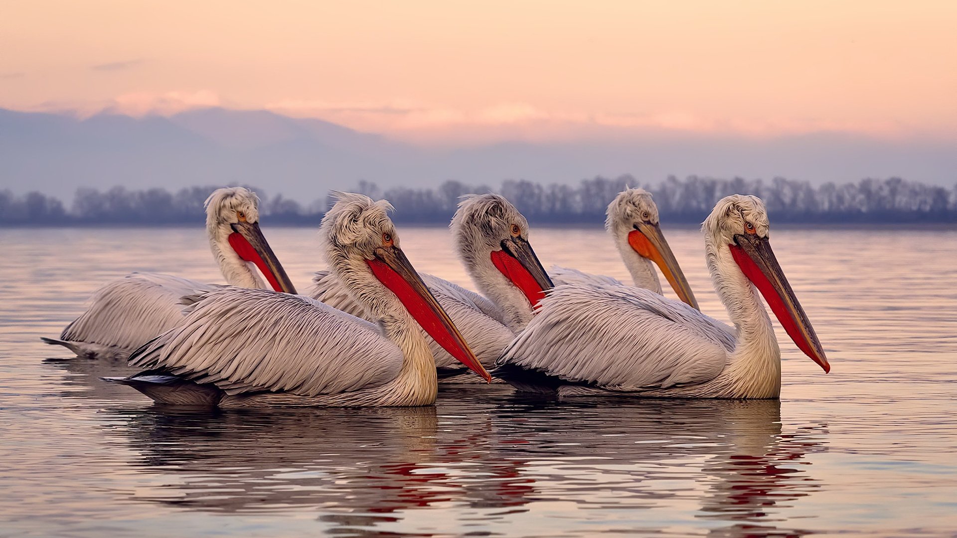 吉达烽火夜，西班牙斗牛士与沙漠王子的终极缠斗—记F1赛季转折点之战