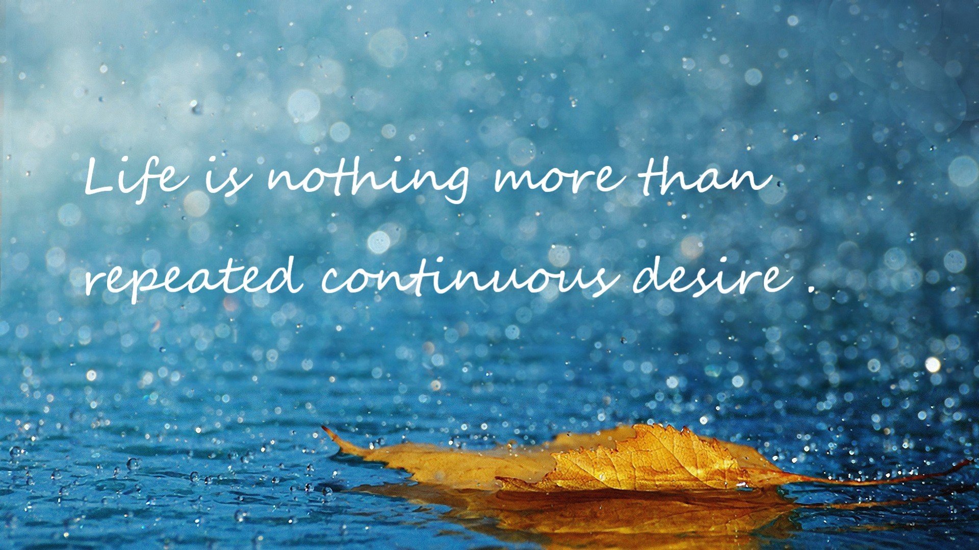 当休城风暴席卷沈阳，杰伦格林44分撕裂辽宁防线