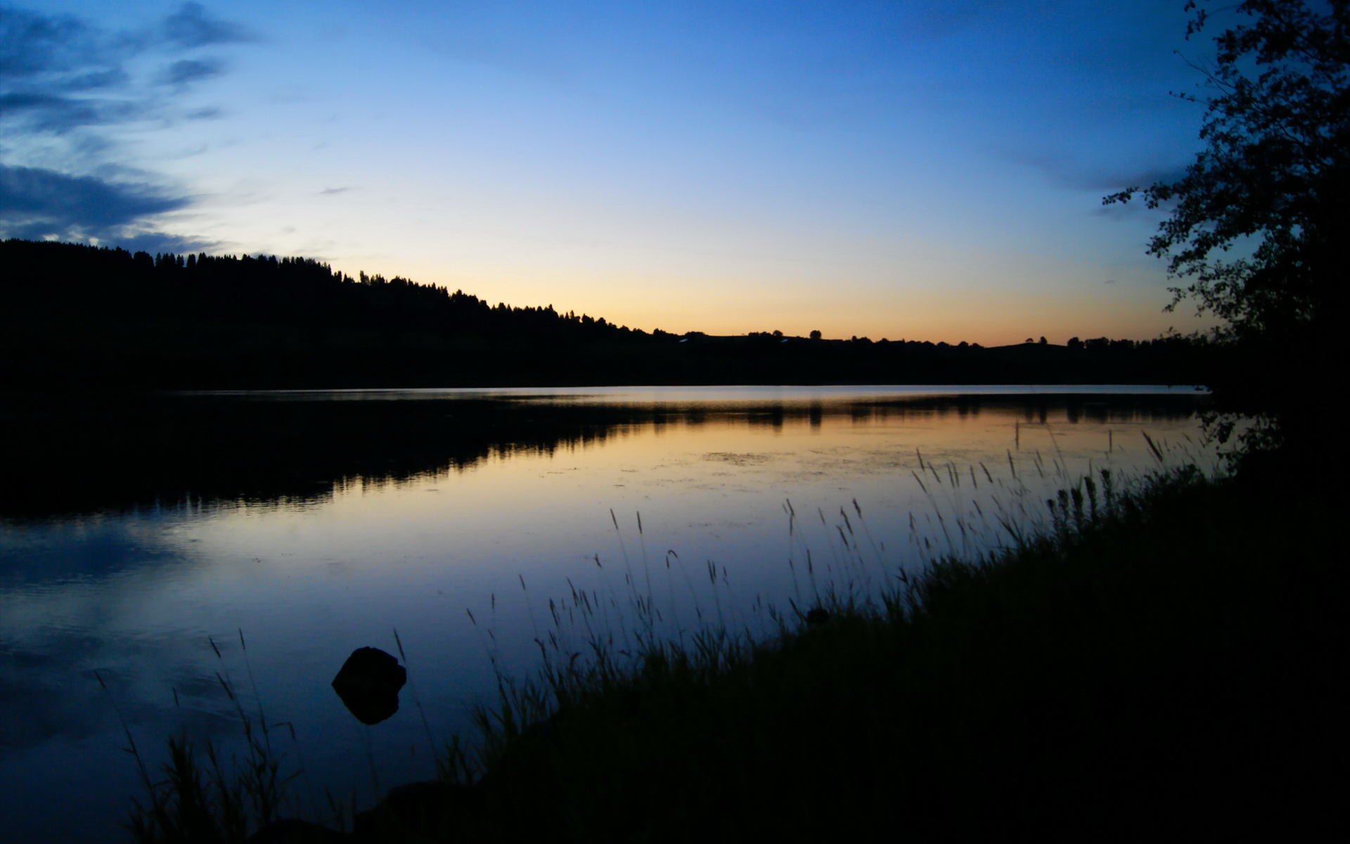 舞台越大越强！阿劳霍光芒闪耀，摩纳哥战术棋局压制贝蒂斯