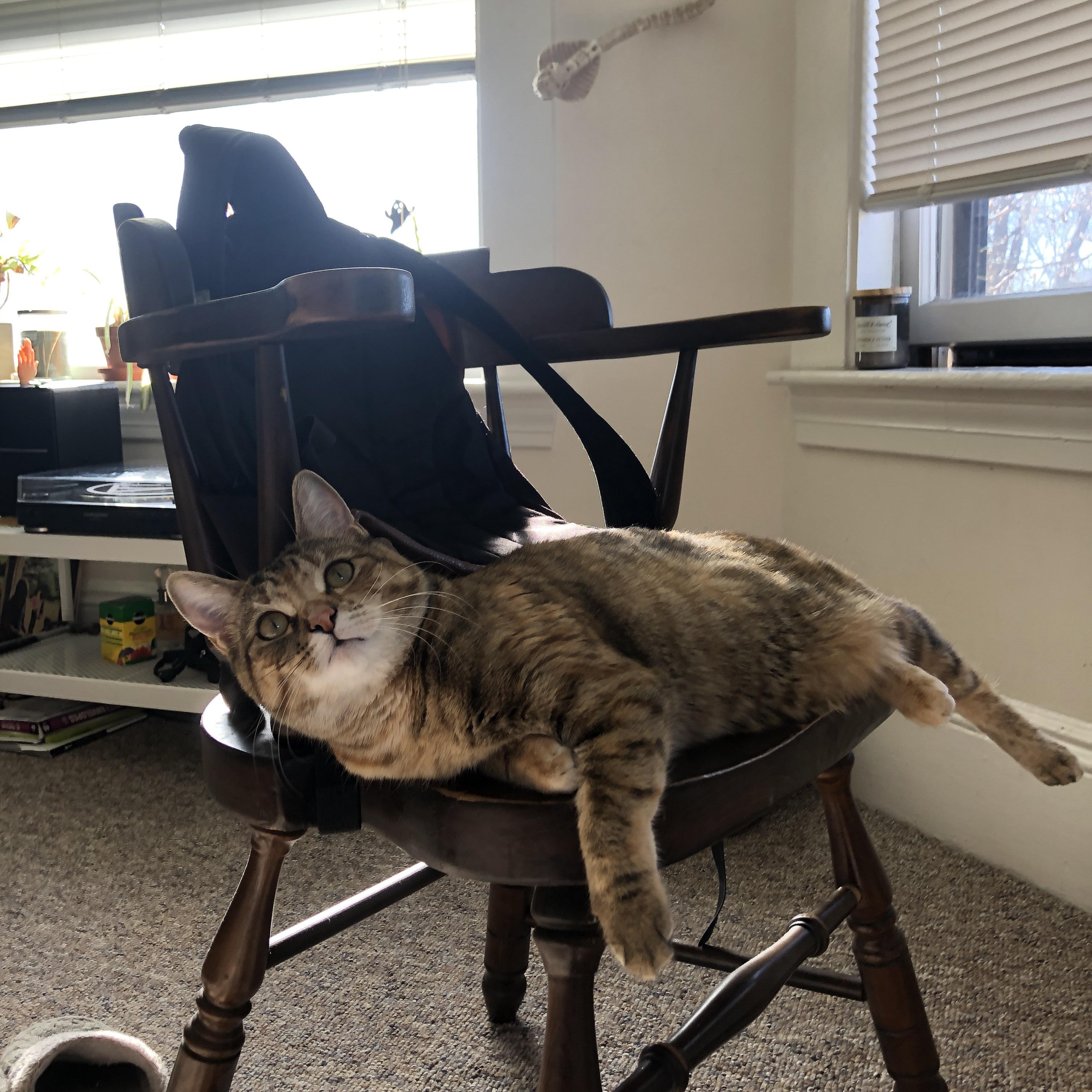 画家调蓝,奥亚尔萨瓦尔的单节画笔,如何将比利时绘入荷兰节奏的深海