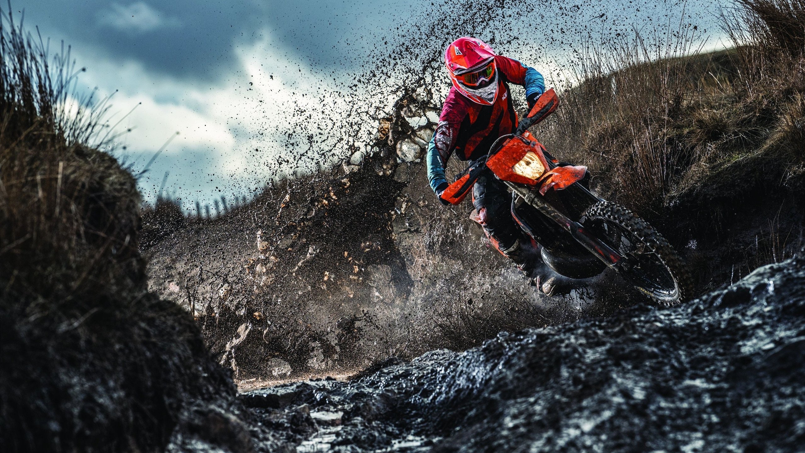 战术指挥与历史缠斗，从东决关键战到伊拉克突围