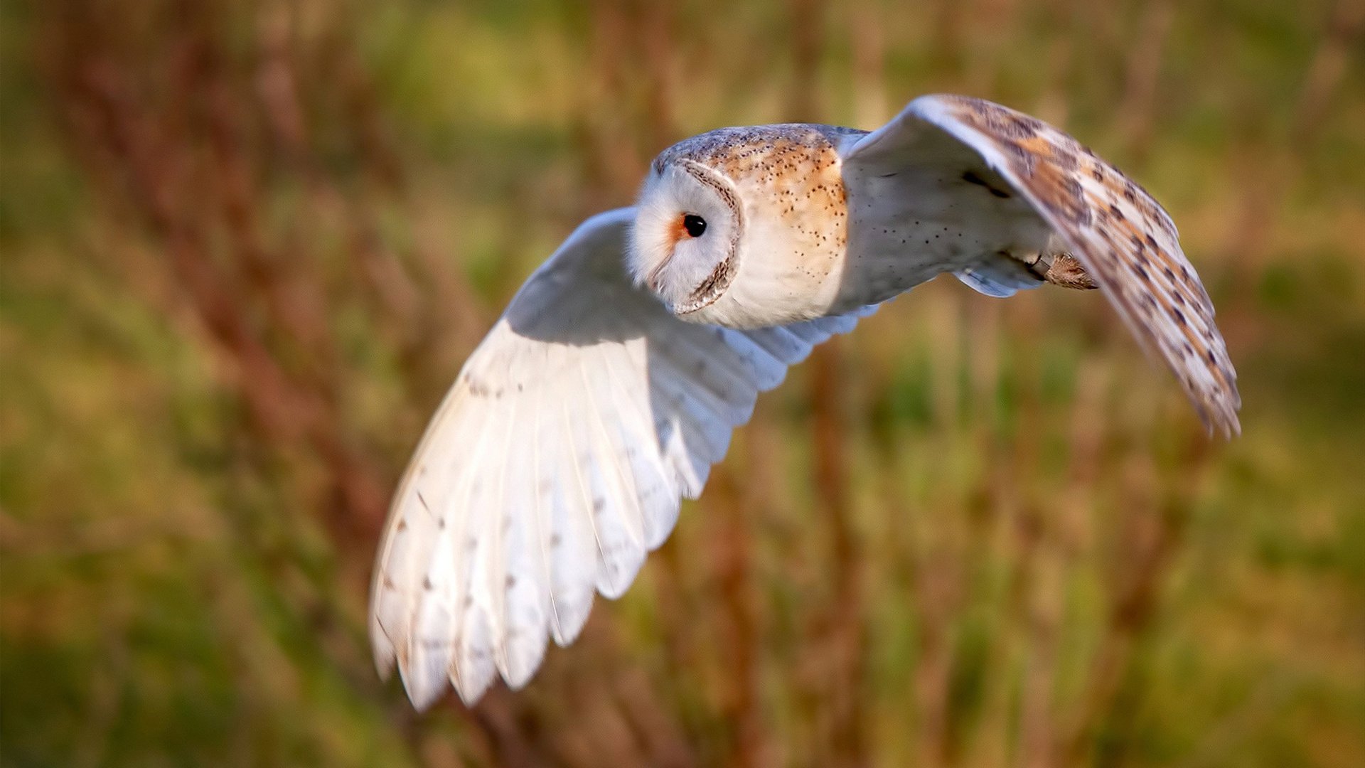 巨星碰撞东方，英格拉姆一锤定音，76人关键战碾压浙江取开门红