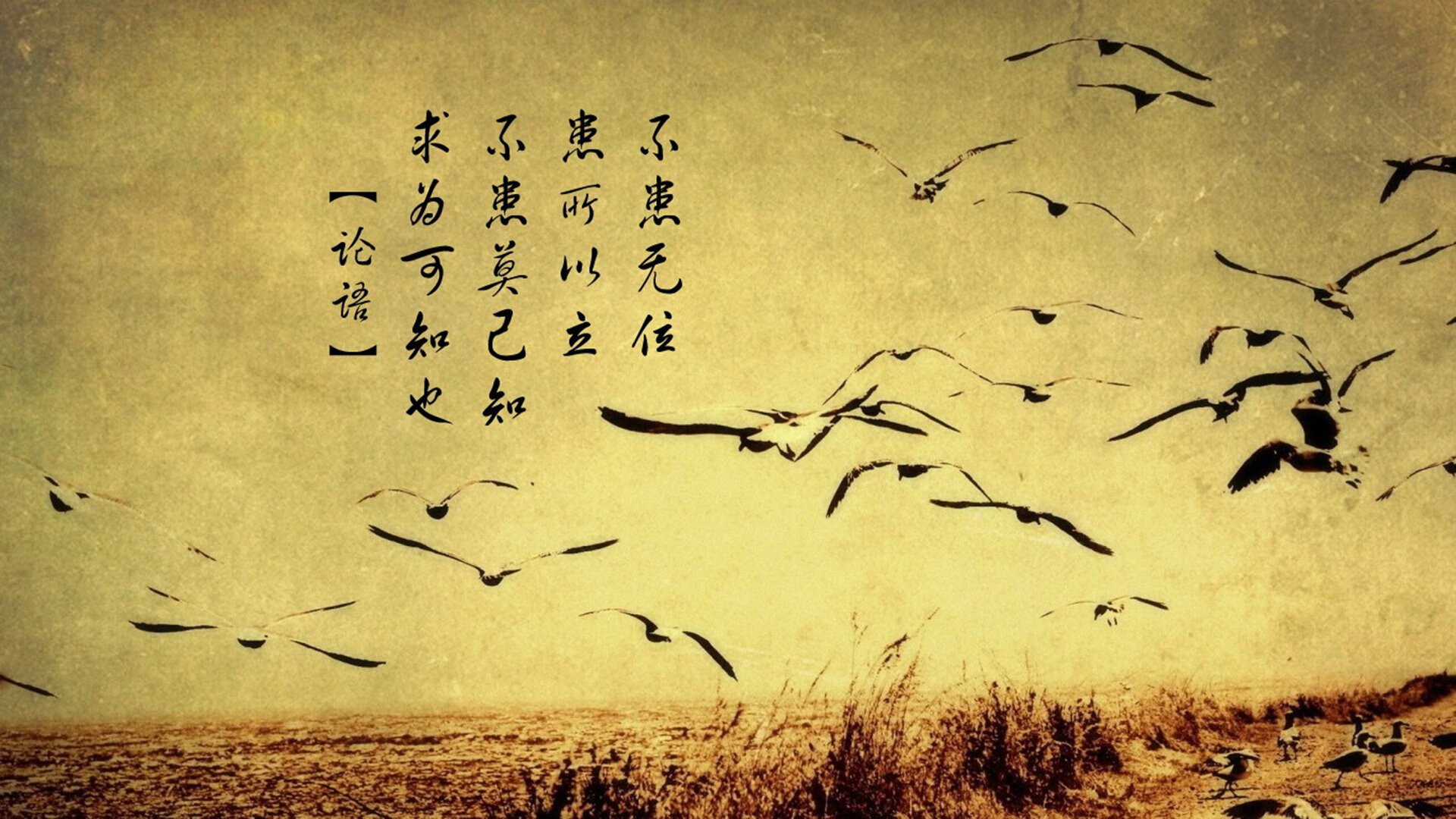 绝杀之夜,2026世界杯E组,智利用乌兹别克斯坦的血肉铸就姆巴佩的致命一击